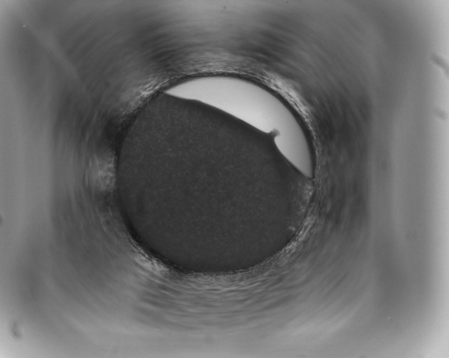 X0000095110017200712211331