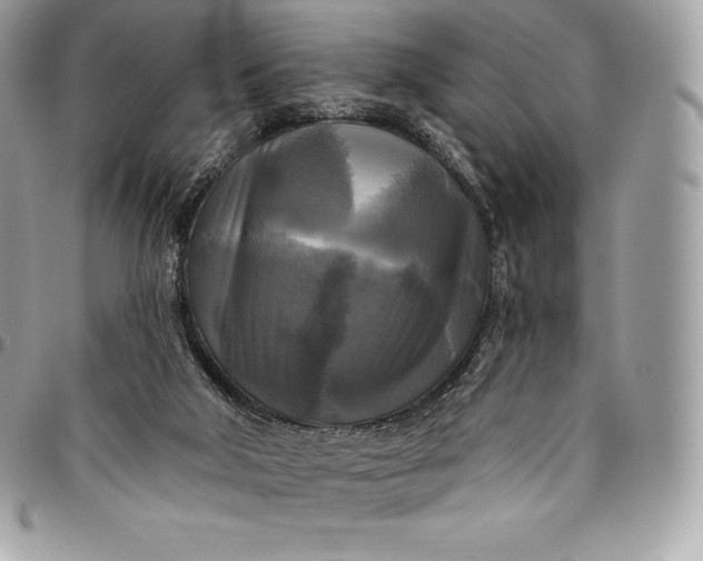 X0000095110018200712211331