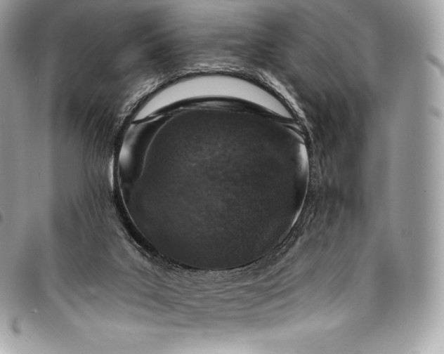 X0000095110019200712211331