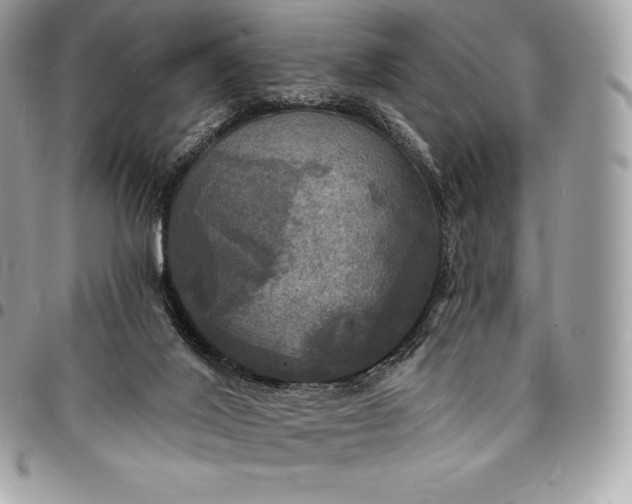 X0000095110020200712211331