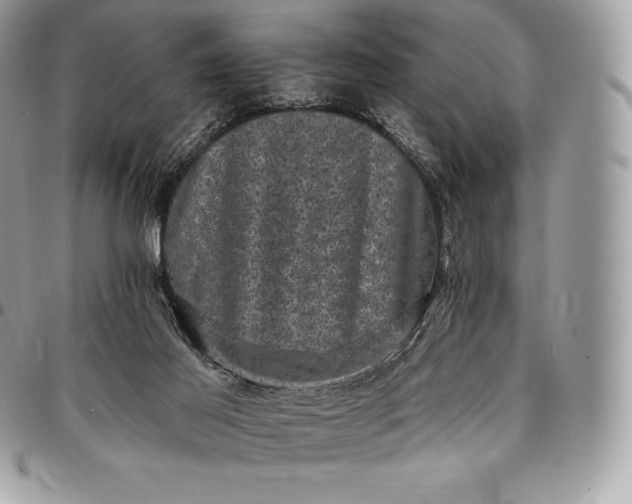 X0000095110021200712211331