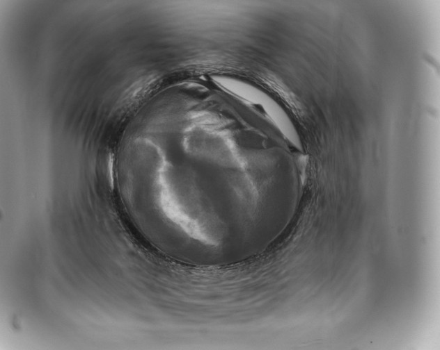 X0000095110022200712211331