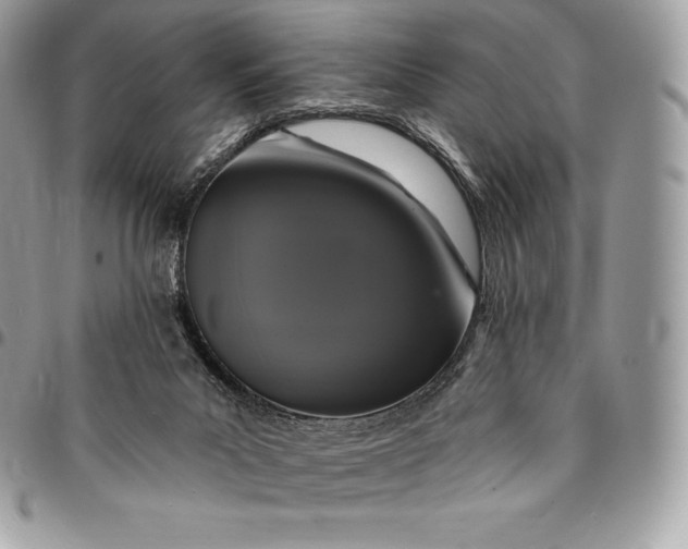 X0000095110023200712211331