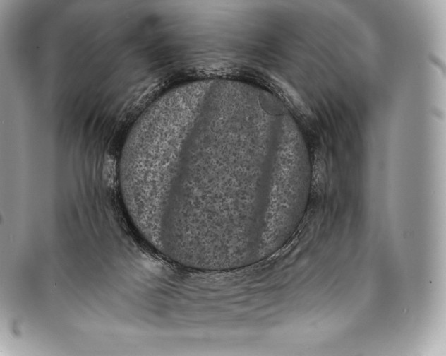 X0000095110025200712211331