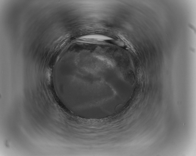 X0000095110026200712211331