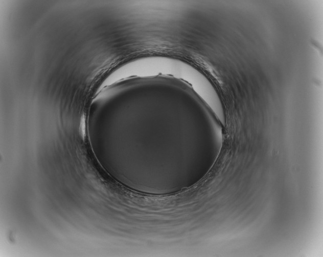 X0000095110027200712211331