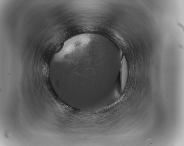 X0000095110029200712211331