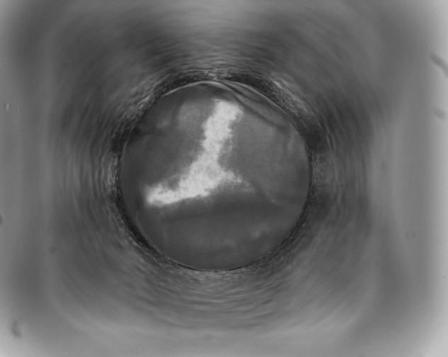 X0000095110030200712211331