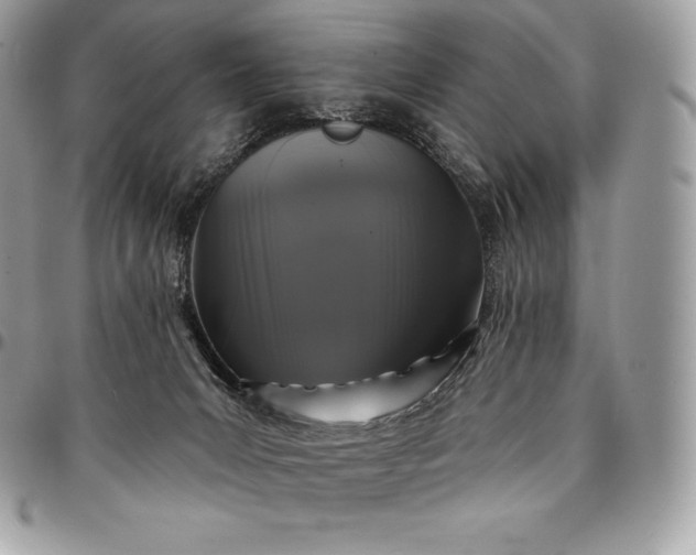 X0000095110031200712211330