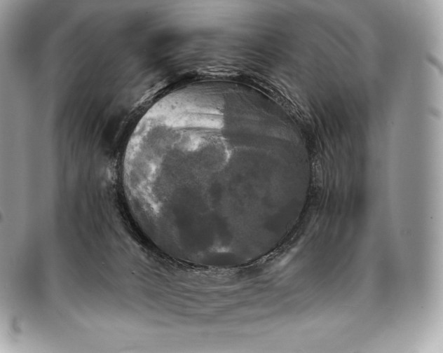 X0000095110032200712211330