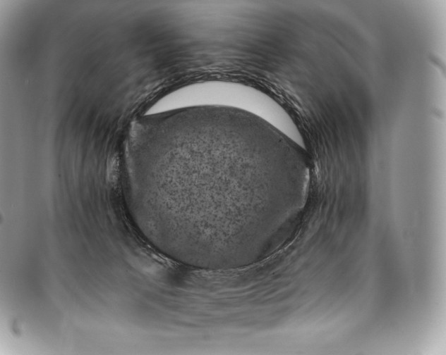 X0000095110033200712211330