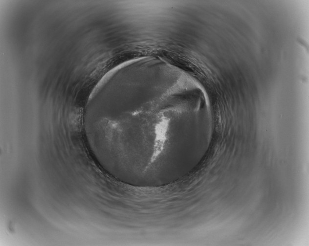 X0000095110034200712211330