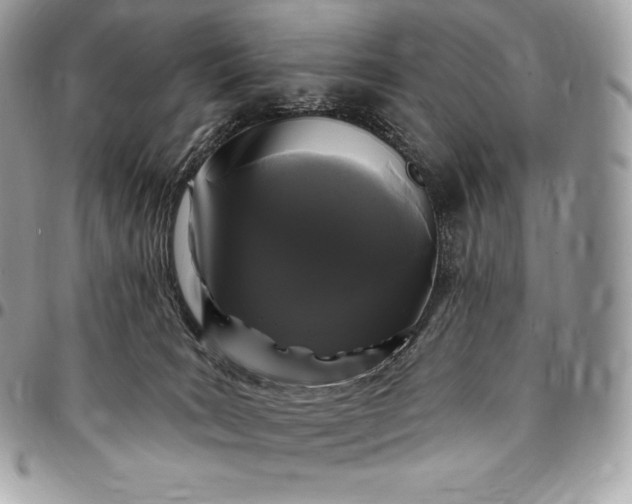 X0000095110035200712211330