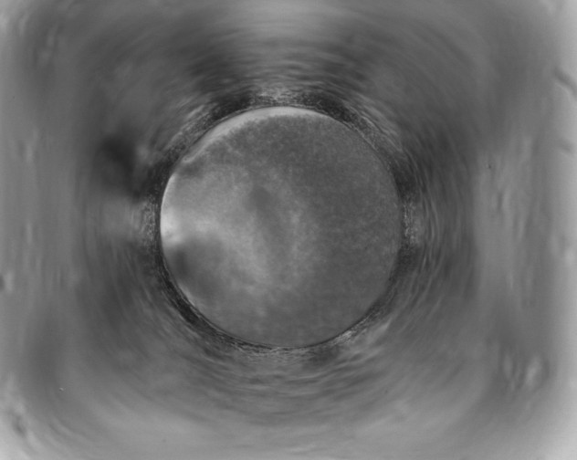 X0000095110036200712211330