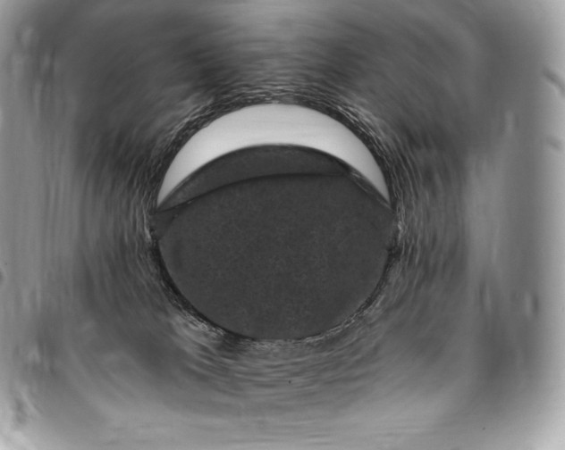 X0000095110037200712211330