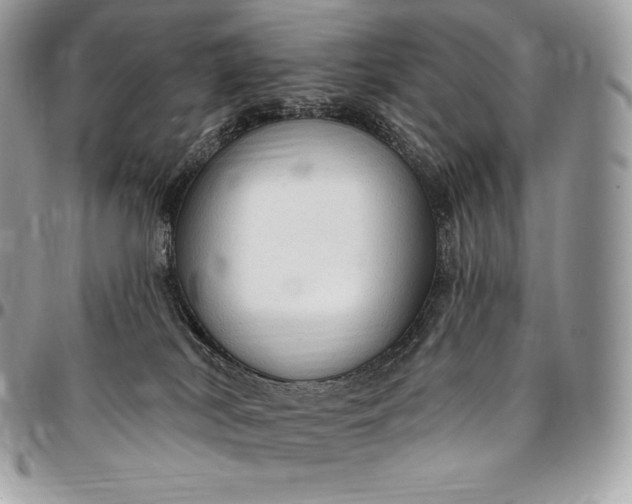 X0000095110038200712211330