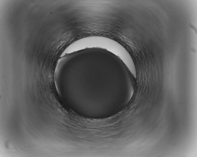 X0000095110039200712211330