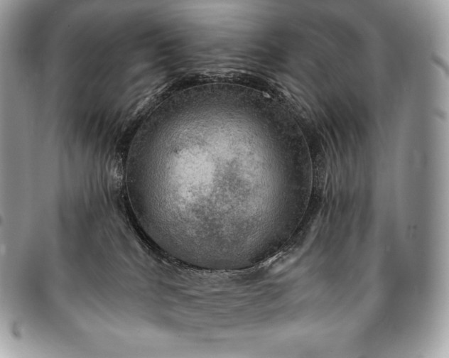 X0000095110040200712211330