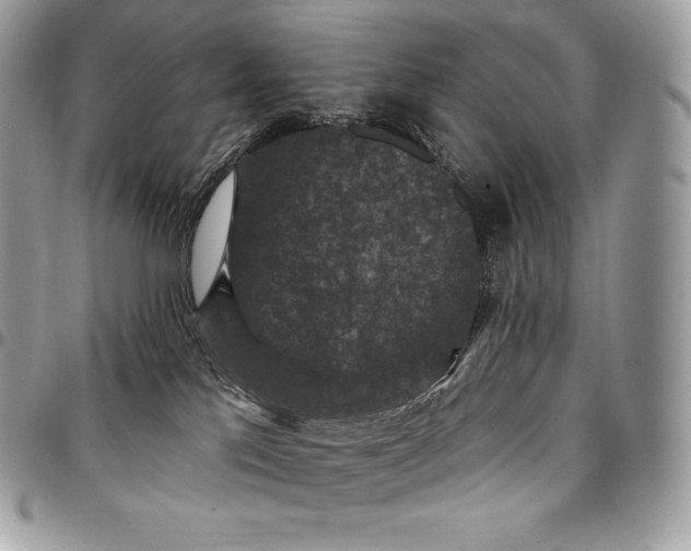 X0000095110041200712211330