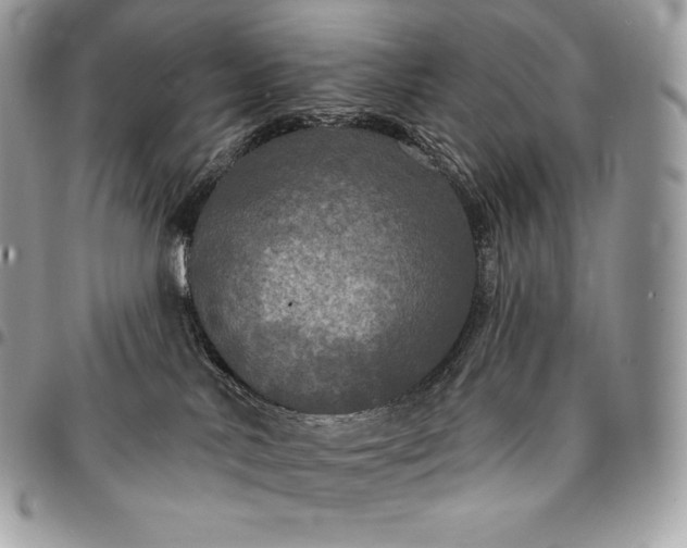 X0000095110042200712211330