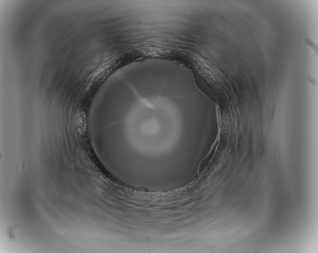 X0000095110043200712211330