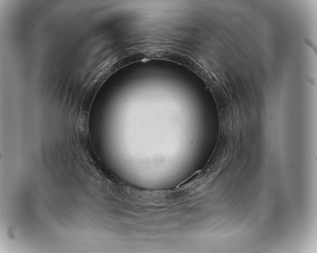 X0000095110044200712211330