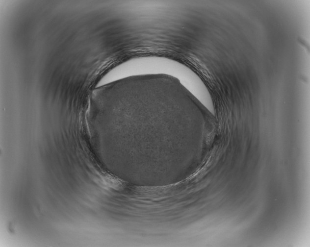 X0000095110045200712211330