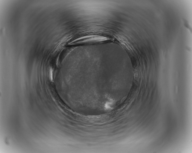 X0000095110046200712211330