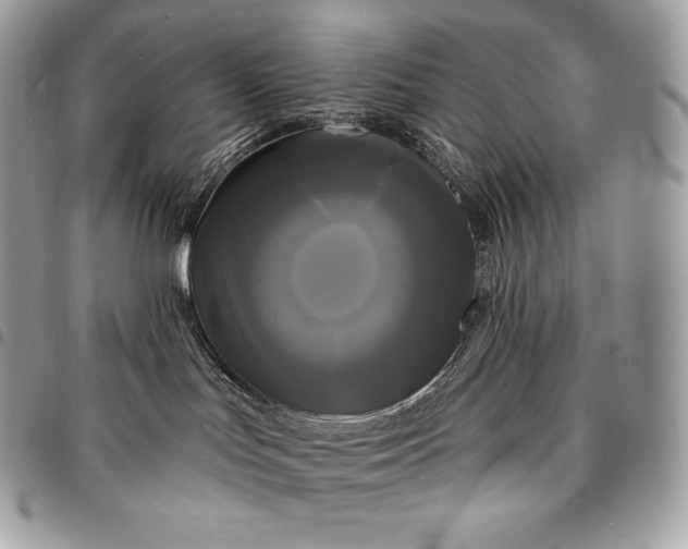 X0000095110047200712211330