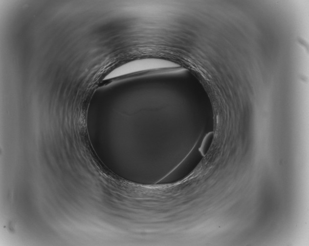 X0000095110048200712211330