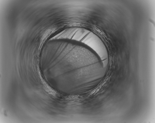 X0000095110049200712211329