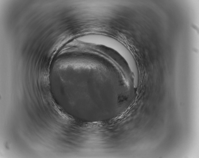 X0000095110050200712211329