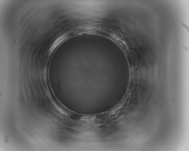 X0000095110051200712211329