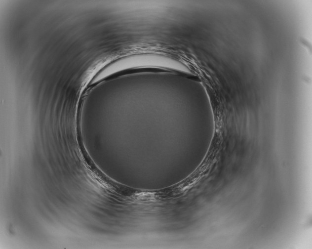 X0000095110052200712211329