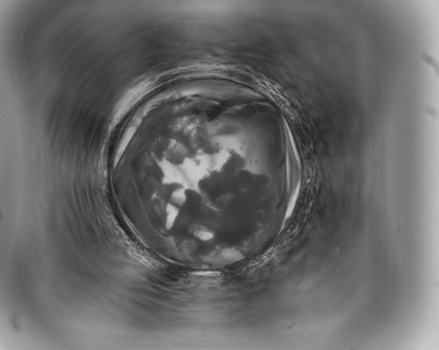 X0000095110053200712211329