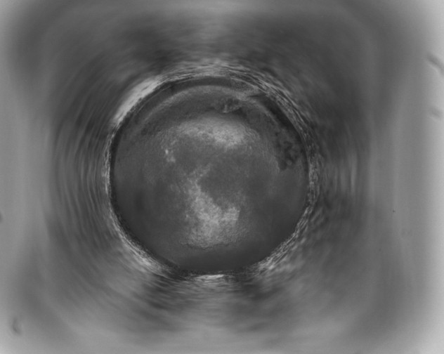 X0000095110054200712211329