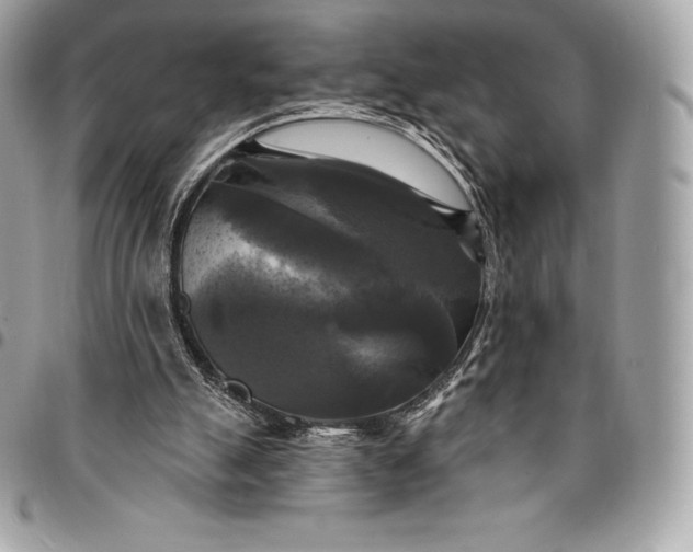 X0000095110055200712211330