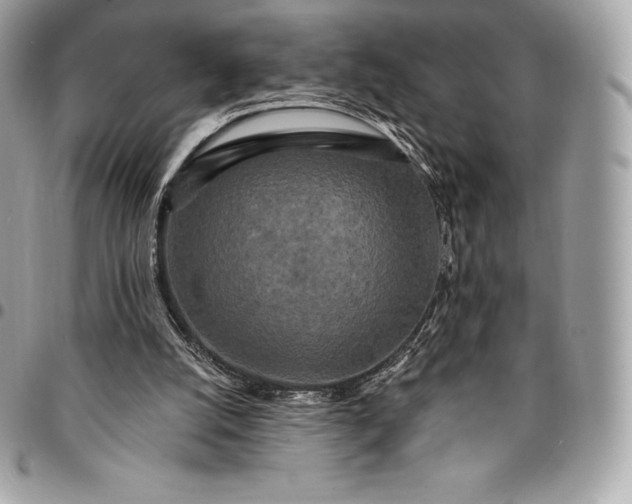 X0000095110056200712211330