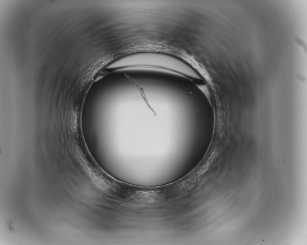 X0000095110057200712211330