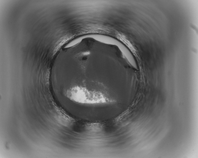 X0000095110058200712211330