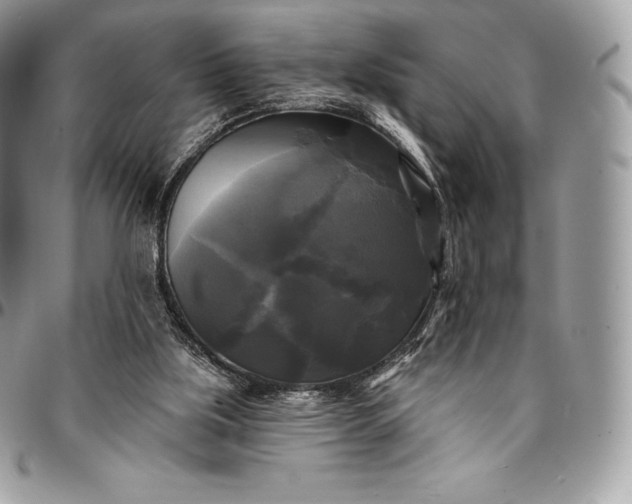 X0000095110059200712211330