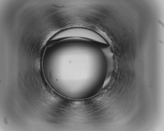 X0000095110060200712211330