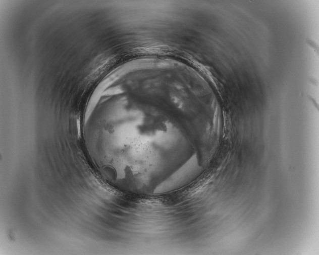 X0000095110061200712211330