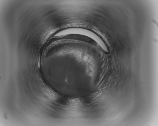 X0000095110062200712211330