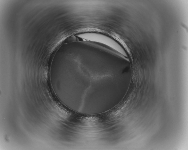 X0000095110063200712211330