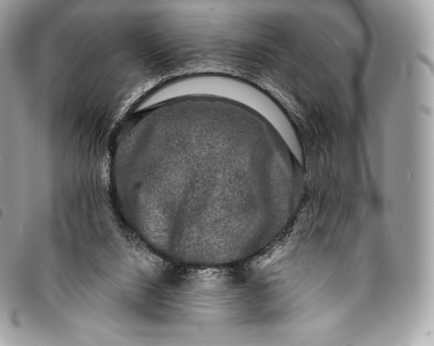 X0000095110064200712211330