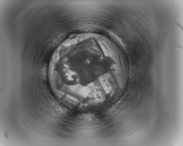 X0000095110065200712211330