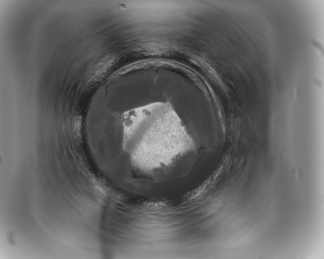 X0000095110066200712211330