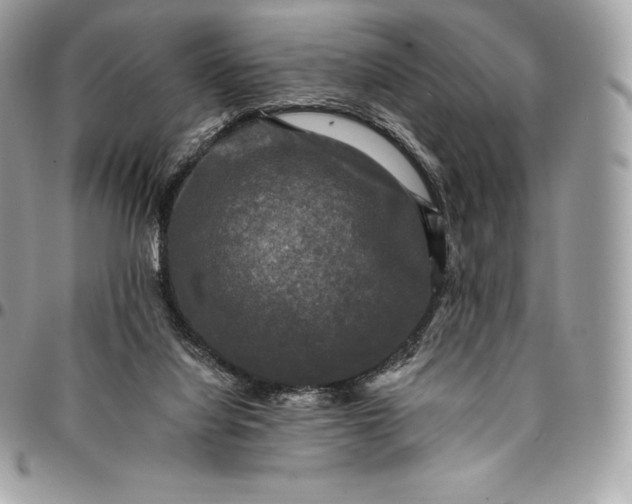 X0000095110068200712211330