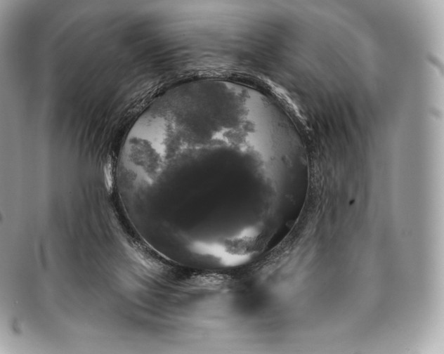 X0000095110069200712211330